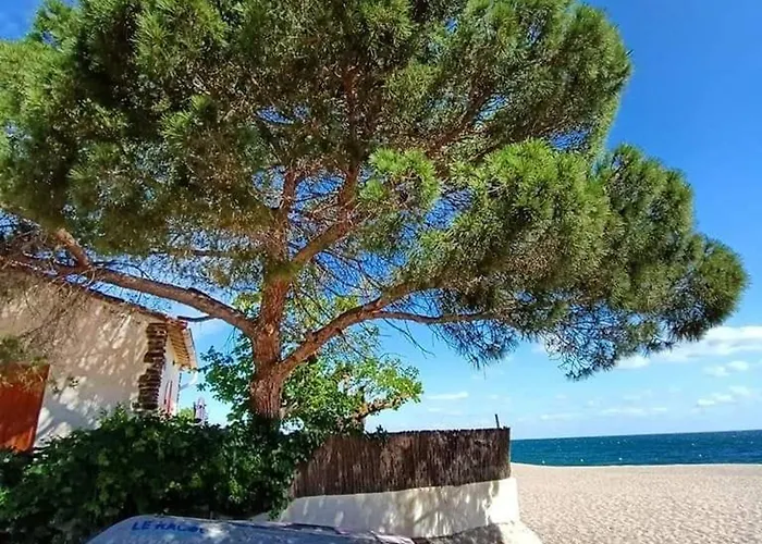 3 Pieces Pour 4 Avec Piscine, Terrasse Et Parking Prive A 400m De La A - Fr-1-776-21 * Argelès-sur-Mer