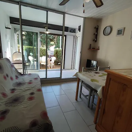 Apartment 3 Pieces Pour 4 Avec Piscine, Terrasse Et Parking Prive A 400m De La A - Fr-1-776-21