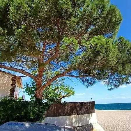 3 Pieces Pour 4 Avec Piscine, Terrasse Et Parking Prive A 400m De La A - Fr-1-776-21 * Argeles-sur-Mer
